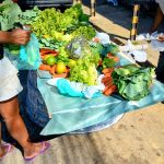 Feira solidaria